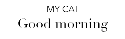 My Cat: Good Morning font example