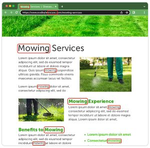 Example service page for a landscaping company showing the mowing services offered.